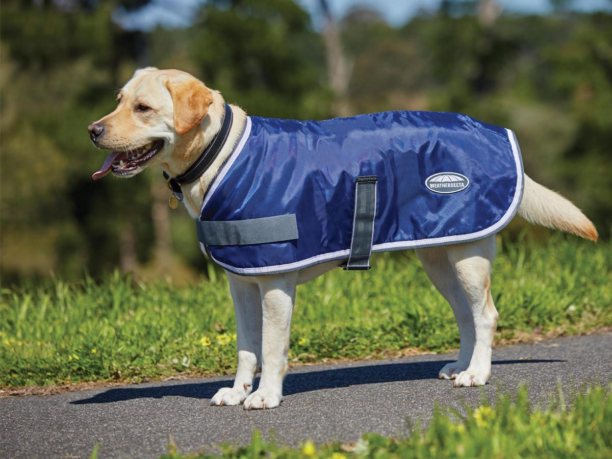 Weatherbeeta Comfitec Windbreaker 420d Dog Coat Weatherbeeta New Zealand