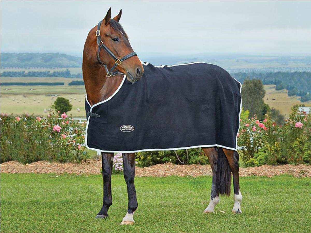 Weatherbeeta Wool Show Standard Neck Weatherbeeta New Zealand