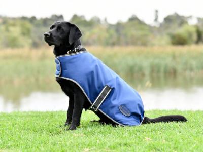 Horseland shop dog coats