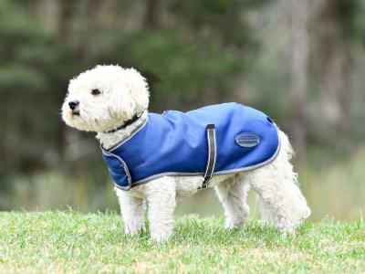 Horseland discount dog coats