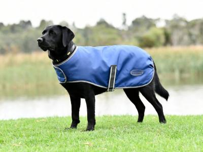 Horseland shop dog coats