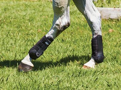 WEATHERBEETA FLEXI SHELL HIND CROSS COUNTRY BOOTS Weatherbeeta New Zealand