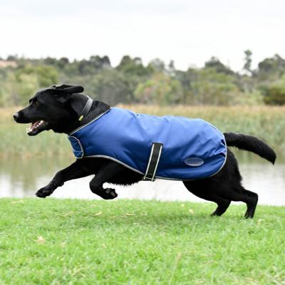 WeatherBeeta Dog Products