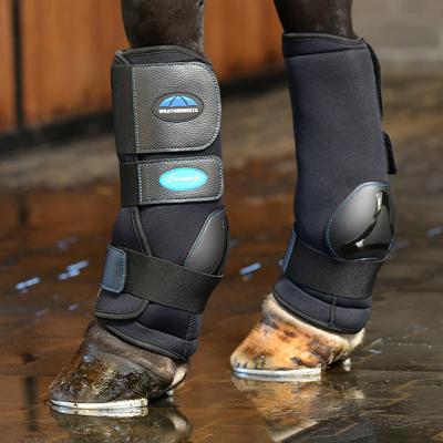 WeatherBeeta Therapy-Tec Horse and Dog Products