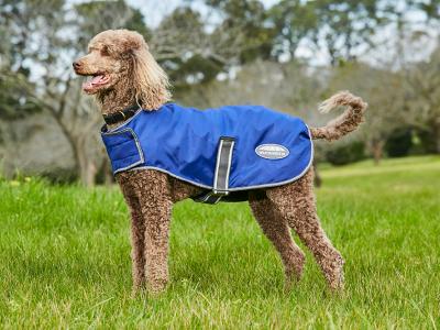 WeatherBeeta ComFiTec Windbreaker Free Dog Coat Dark Blue/Grey/White