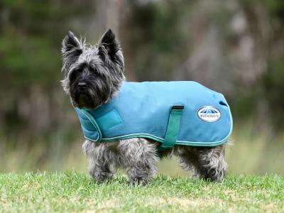 WeatherBeeta Green-Tec 1200D Parka Dog Coat