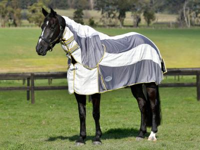 WeatherBeeta Breeze Combo Scrunch Neck II