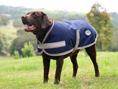WeatherBeeta ComFiTec Essential Plus Parka Dog Coat