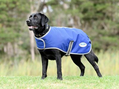 ComFiTec Premier Free Parka Dog Coat Medium Lite