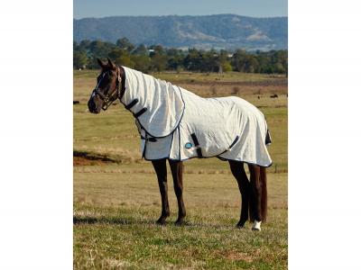 WeatherBeeta Cotton Summer Sheet Lite Combo