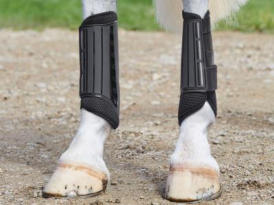 WeatherBeeta Eventing Hind Boots Black