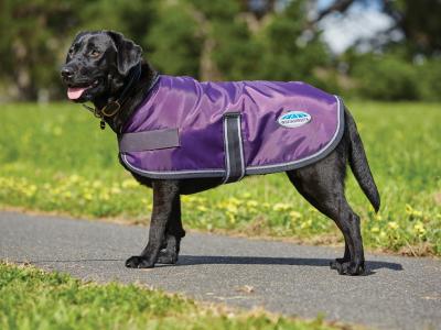 WeatherBeeta ComFiTec Windbreaker 420D Dog Coat Purple/Black
